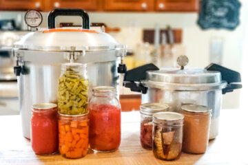 坐在厨房柜台上的两个压力罐和自制食品的罐子。